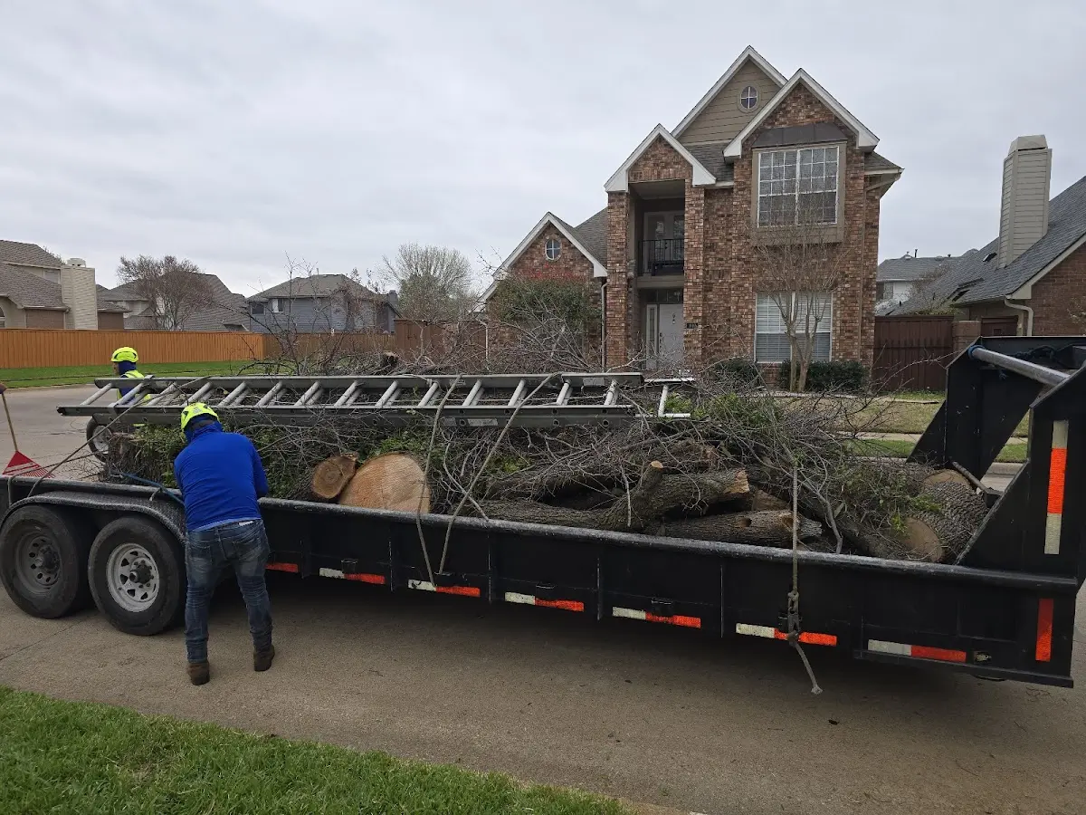 Expert Tree Fertilization with proper safety equipment in Challenge